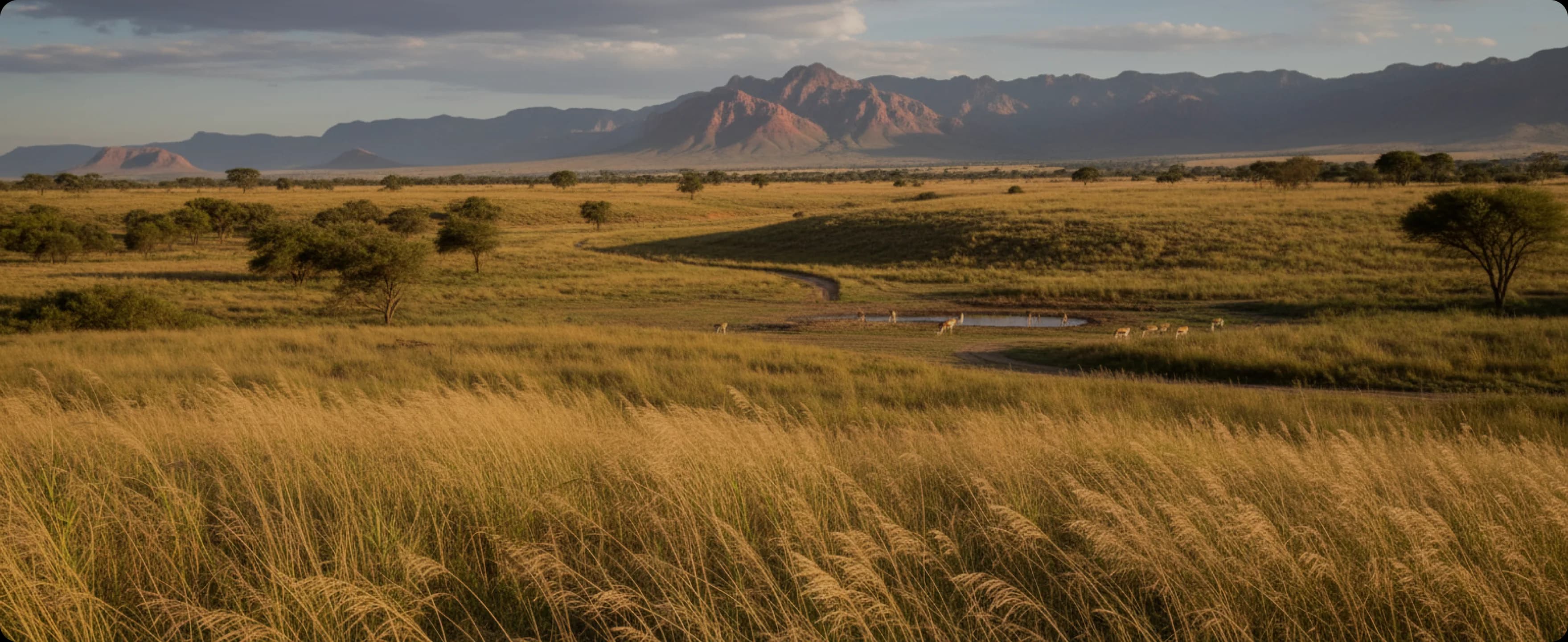 Committed to sustainability